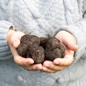 NZ Winter Truffle Class with Vicki - SOLD OUT