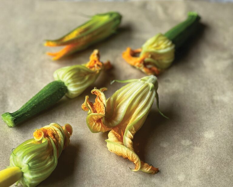 courgette-flower-3-scaled